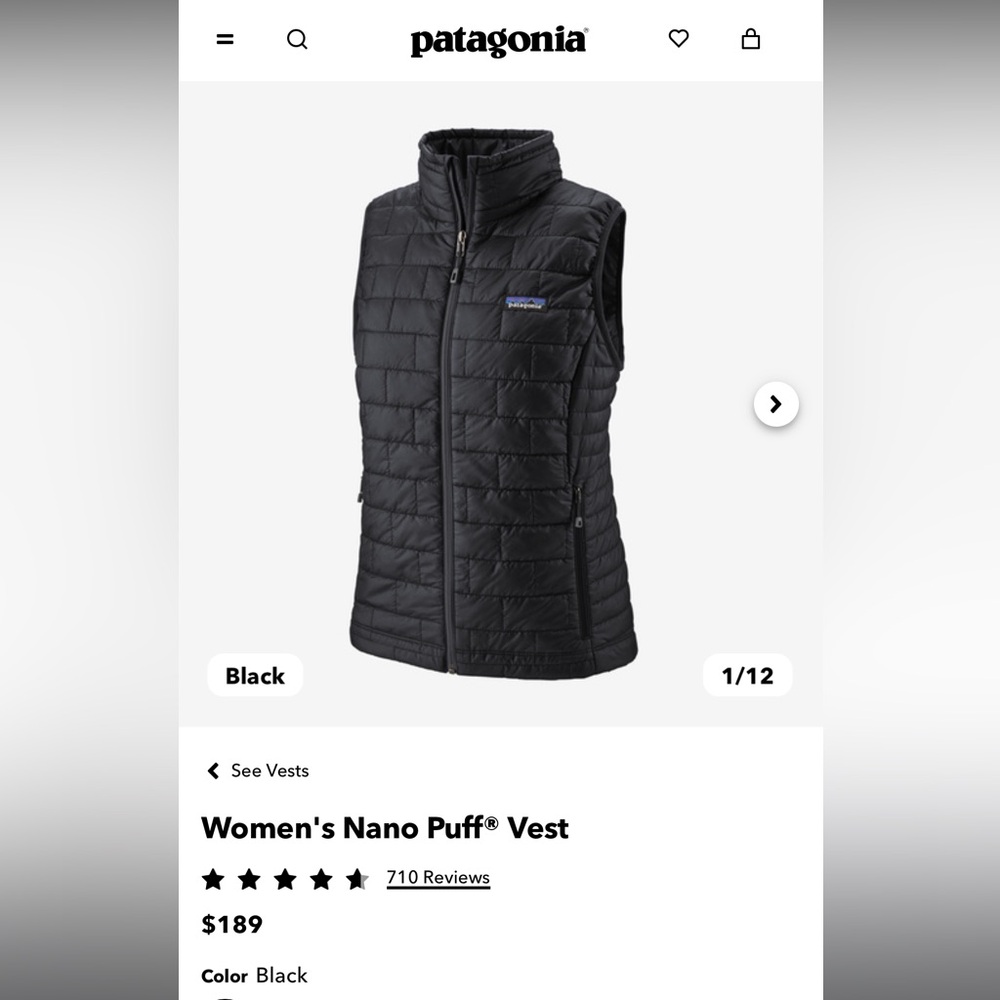 Patagonia Nano Puff Vest